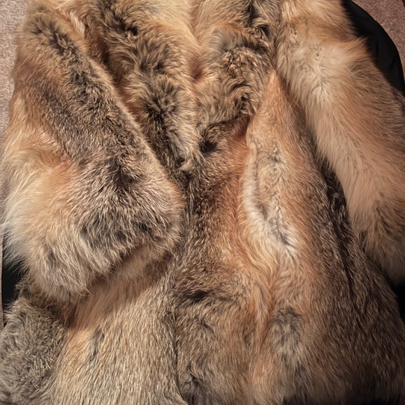 Beautiful Golden island fox coat - Picture 16 of 16